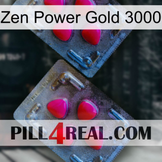 Zen Power Gold 3000 14